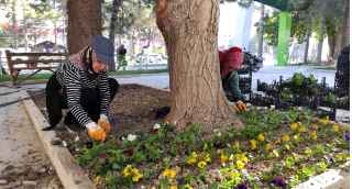 Ereğli’de Park ve Refüjlerde Çiçek Dikim Çalışmaları Devam Ediyor