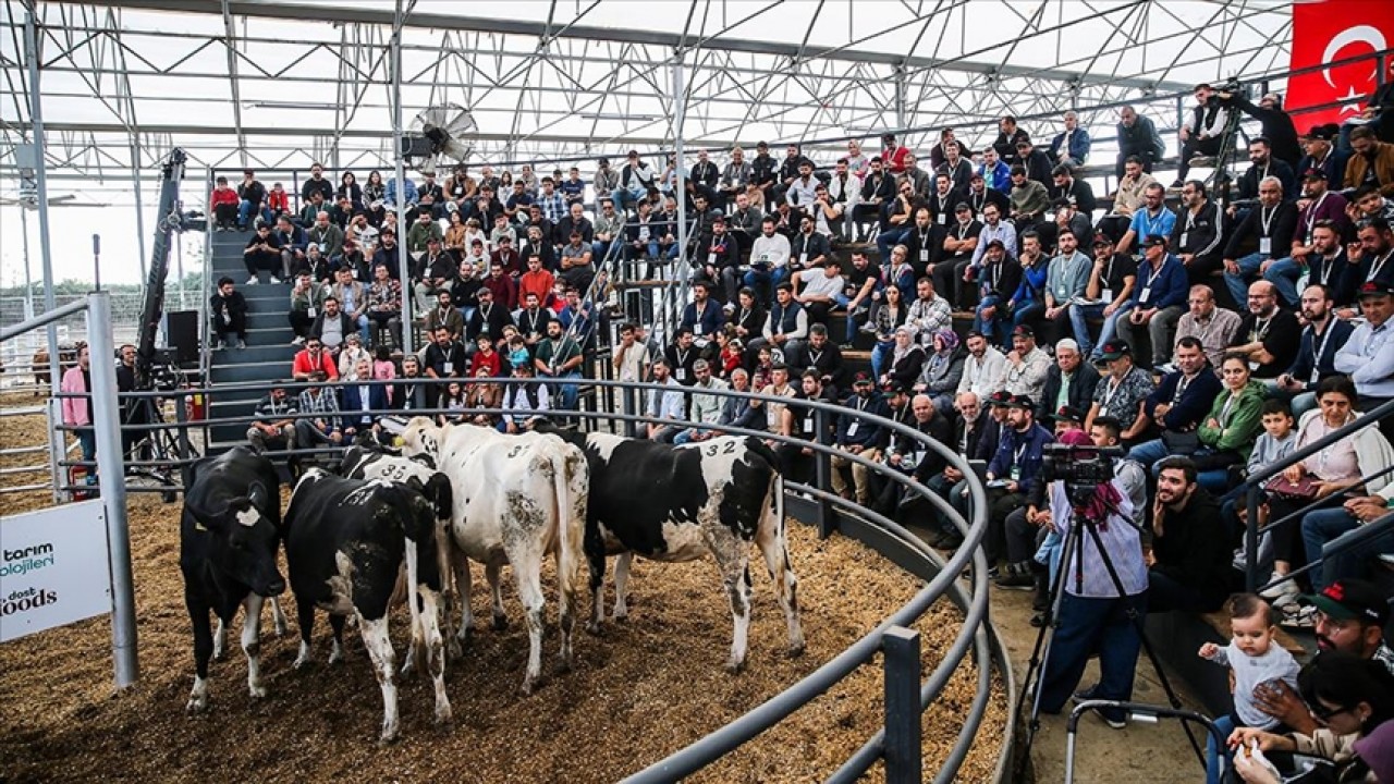 “Dost Mezat” ile genç ve kadın üreticilere nakit yem desteği