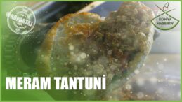 MERAM TANTUNİ