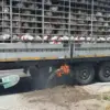 Karapınar’da Tavuk Tırında Yangın