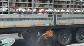 Karapınar’da Tavuk Tırında Yangın
