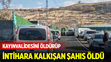 Kayınvalidesini öldürüp intihara kalkışan şahıs öldü