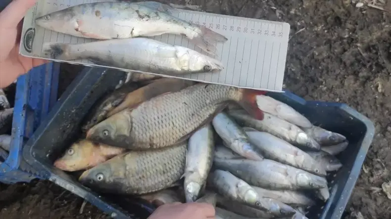 Beyşehir’de Özel Gereksinimliler İçin Spor Etkinliği