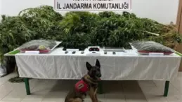 Uyuşturucu Davasında Beraat