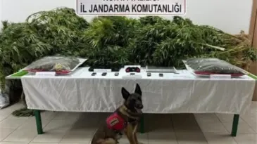 Uyuşturucu Davasında Beraat