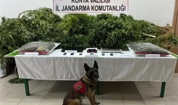 Uyuşturucu Davasında Beraat