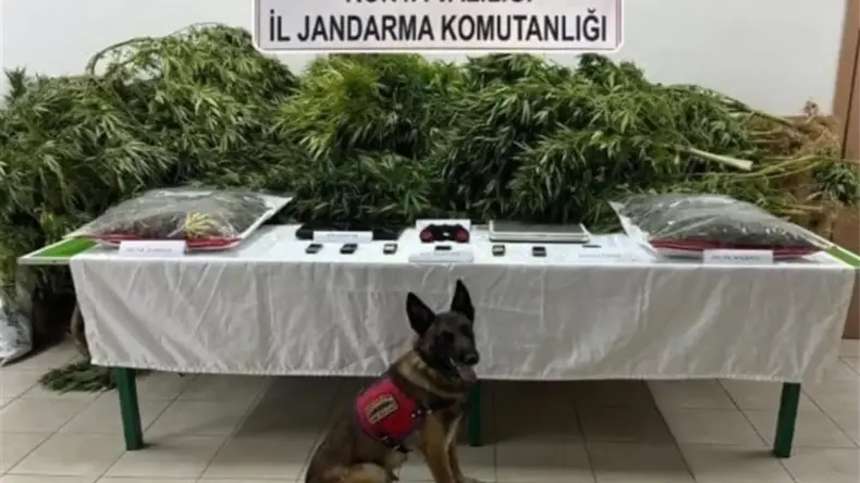 Uyuşturucu Davasında Beraat