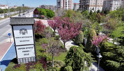 Sakuralar İçin Japonya’ya Gitmenize Gerek Yok; Konya’da Sakura Mevsimi Başladı